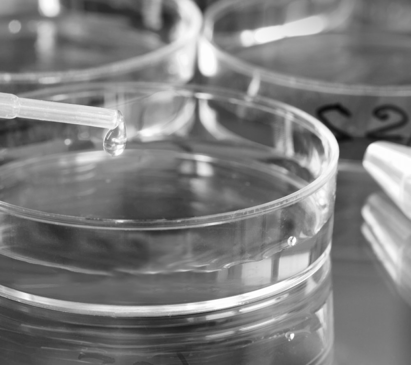 Slider image (4) Bioscience Institute Middle East